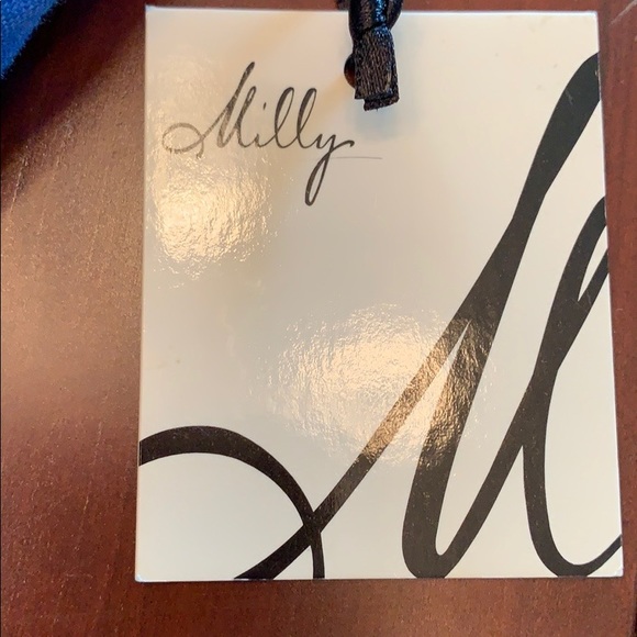 MILLY  SIZE 10  BNWT BLUE AND WHITE LINEN DRESS - Picture 2 of 4